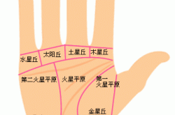 八字算命 生辰八字算命 生辰八字查询 免费周易八字算命网 第3721页 八字算命 生辰八字算命 生辰八字查询 免费周易八字算命网 第3721页